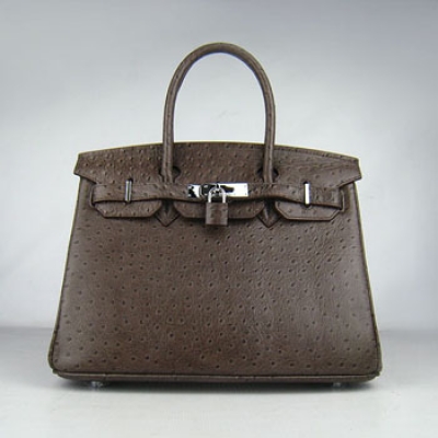 Hermes Birkin 30Cm Ostrich Stripe Handbags Dark Coffee Silver