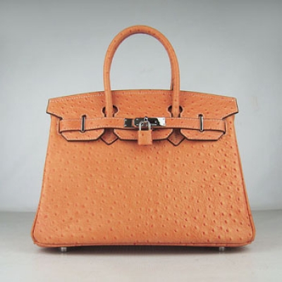 Hermes Birkin 30Cm Ostrich Stripe Handbags Orange Silver